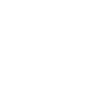 Pelletteria 2A